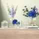 Фото: Ваза для цветов Fleur прозрачная 28 х 16 см