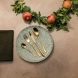 Фото: Набор столовых приборов Sambonet Taste Gold 24 пр.