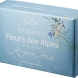 Фото: Чайный набор Rosenthal Brillance Fleurs des Alpes 6 пр.